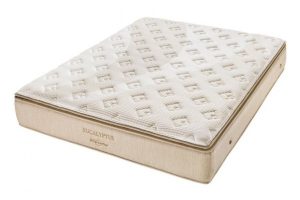 Colchão American Flex