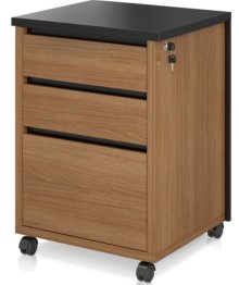 Gaveteiro office future