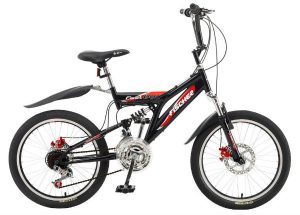 Bicicleta Fast Boy Aro 20