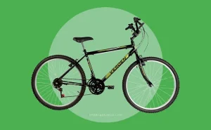 bicicleta verden confort