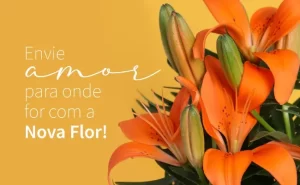 nova flor flores