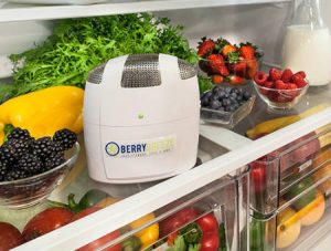 Berry Breeze La Cuisine