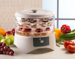 Desidratador de alimentos