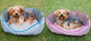 cama para cachorros