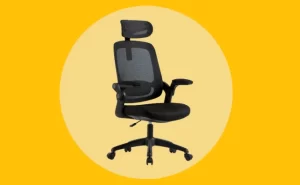 Top 5 Cadeiras Home Office com 80 Reais de Desconto